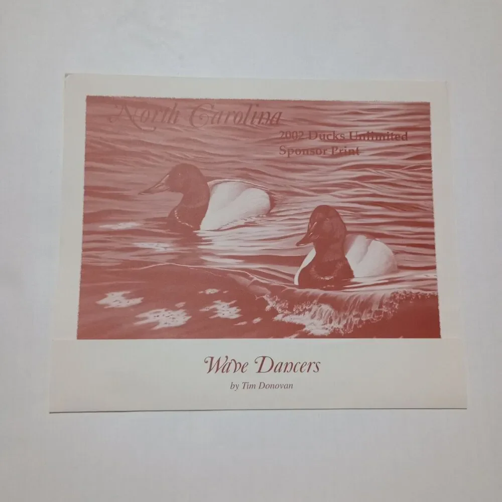 No Brand 2002 ducks